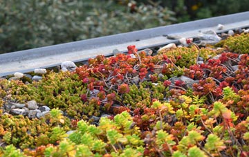 the cost of Upper Cwmbran green roof installation